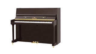 Pianoforte PianoDisc PD09L